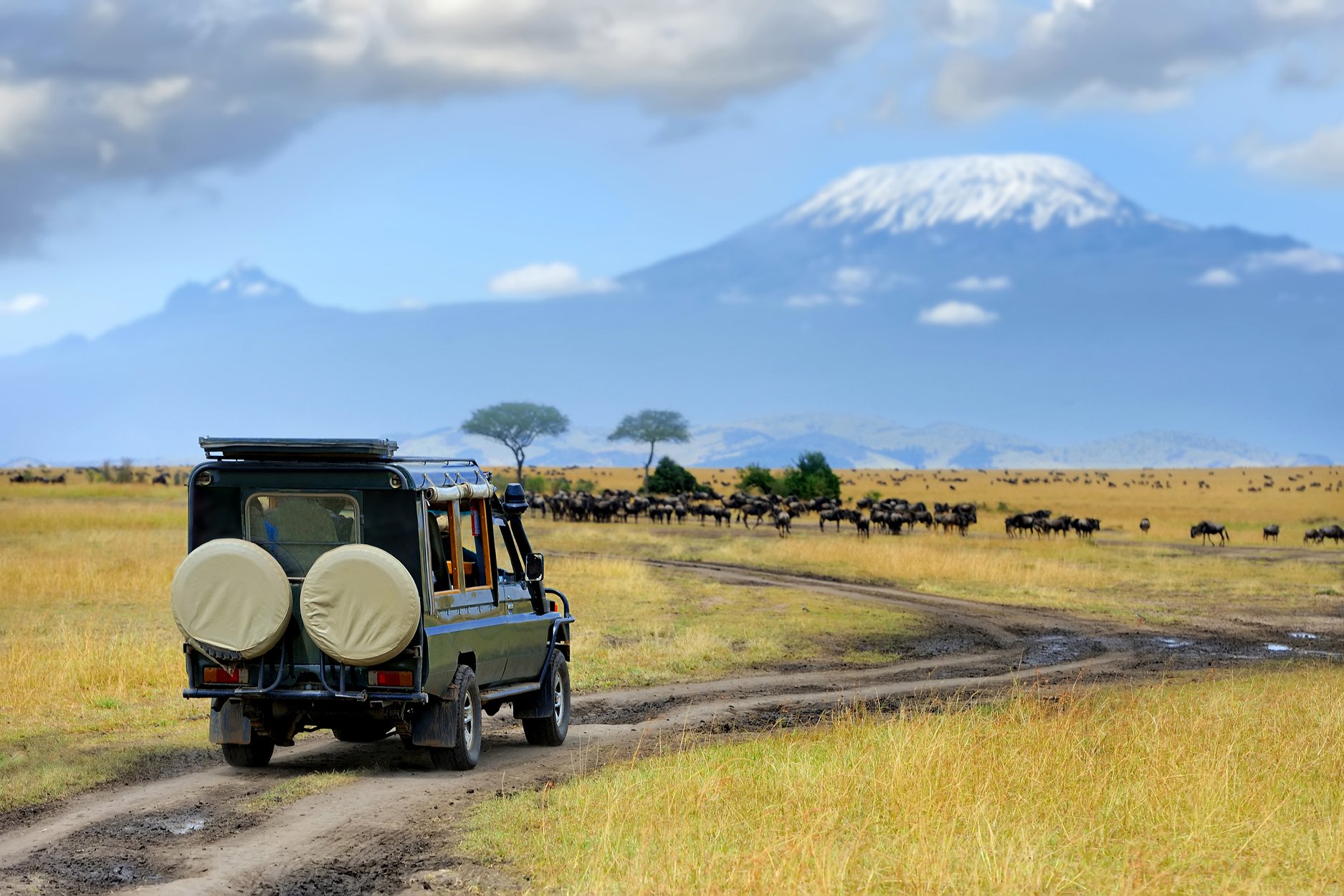 Safari v Tanzánii a relax na Zanzibare